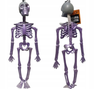 KOSTRA ĽUDSKEJ KOSTRA LEBEKA HALLOWEENSKÁ DEKORÁCIA 33 cm